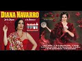 Diana Navarro - Se Dice