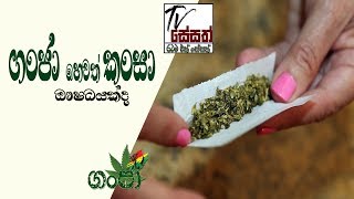Download lagu Ganja-Cannabis-Weed-Marijuana is a depressant drug | ගංජා හෙවත් කංසා ඖෂධයක් ද.| Tv Sesath mp3