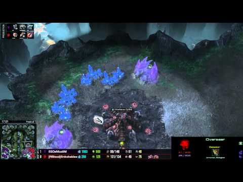 Demuslim vs Snitchables G2 - WCS EU Qualifier #3