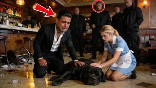 They Didn’t Know The Waitress Was A Top Surgeon — Until The Mafia Boss’s Dog Collapsed In The Bar