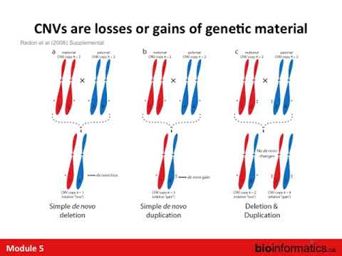 Copy Number Alterations