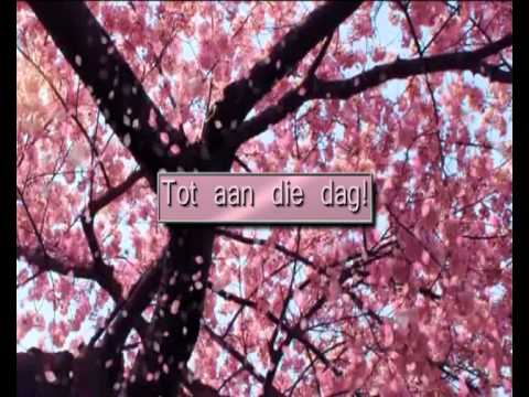 Ooit komt er een dag - Opwekking 665 (lyrics)