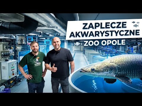 Zaplecze akwarystyczne opolskiego ZOO