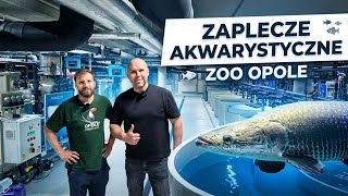 Zaplecze akwarystyczne opolskiego ZOO