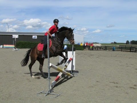 You belong to the Wild