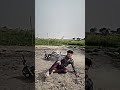 Oo Sadi Zindagi Aa Thaa Baliye Ni Sanu Arre Gerre Di Ni Parvah Baliye