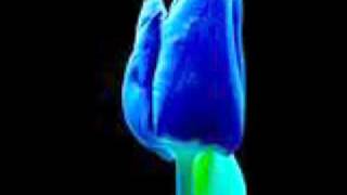 Meddy Gerville - Ségazz