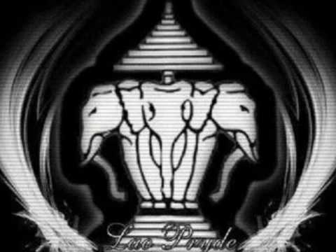 C A S H, M O N E Y, M U L A