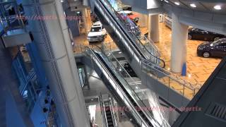 preview picture of video 'Japan Trip 2014 Tokyo Ikebukuro 1.TOYOTA AUTOSALON AMLUX TOKYO was closed on December 23, 2013.'