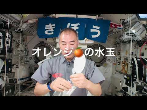宇宙での生活: 驚くべき現象が宇宙飛行士を永遠に変える