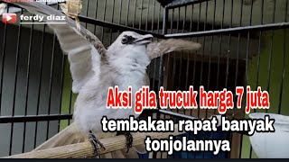 Download lagu The crazy action was for the price of 7 million, full of shots at a meeting, many bumps mp3