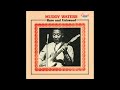 Muddy Waters - Born Lover - Cenk Okan Muddy Waters - Born Lover