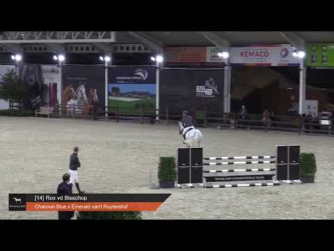 Rox vd Bisschop -Presentation 2022