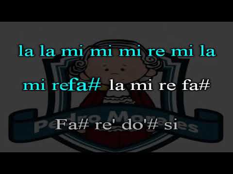 Selena Gomez, Marshmello - Wolves (FLUTE COVER CON NOTAS)