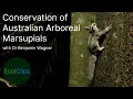 Conservation of Australian Arboreal Marsupials with Dr. Benjamin Wagner | EcolClips