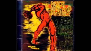 Peace, Love & Pitbulls - Red Sonic Underwear (1994) [Full Album]