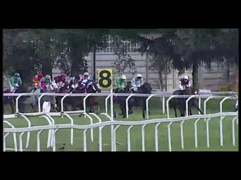 2024.10.13 Premio del Piazzale (ITA) - Brave Emperor