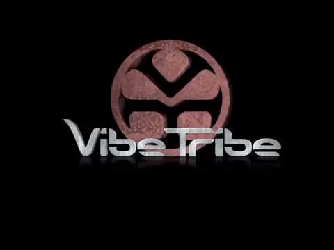 Vibe Tribe - No Limits