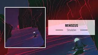 Meniscus – Simulation