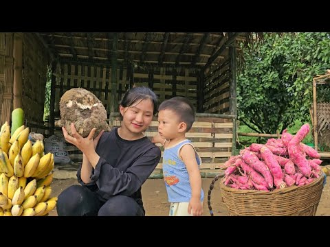 180 Days:17 year old single mother- Alone - building a bamboo house - Harvesting || Ly Tieu Nu