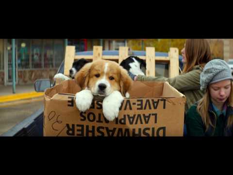 BAILEY – EIN FREUND FÜRS LEBEN - offizieller Teaser