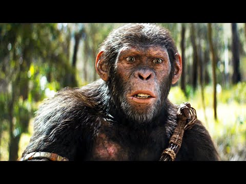 LA PLANÈTE DES SINGES 4 : Nouveau Royaume "La Chasse aux Humains" Bande Annonce (2024) Nouvelle