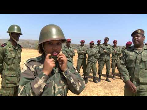 CONTACTO DIRECTO: OS BASTIDORES E PREPARATIVO DAS FORÇAS ARMADAS CABO-VERDIANA
