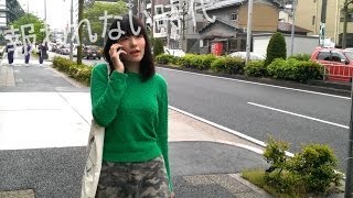 (the pillows 25th cover contest) 観覧車にすんでるず / CARNIVAL