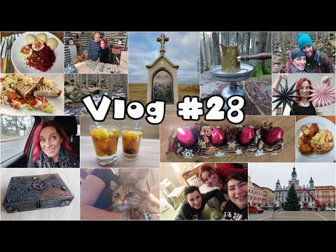 Vlog #28 - televize, rozhlas, vaření, holčičí večírky a kočky