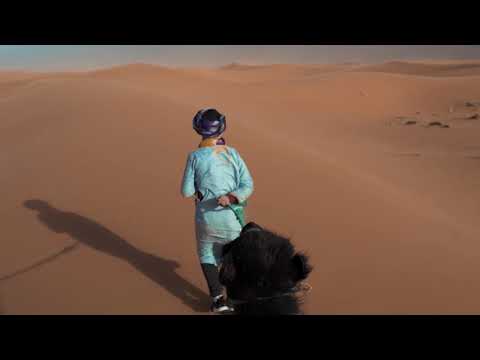 Camel ride at the desert of Merzouga, Erg Chebbi, Morocco