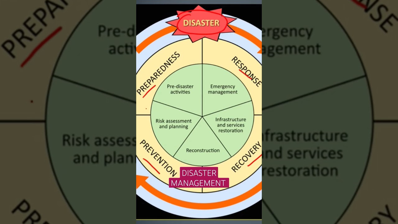 Disaster Management Framework- TheGeoecologist #shorts