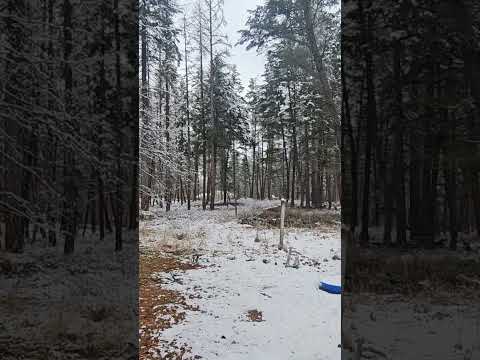 Nature's Beauty & Soul Reset Montana Vibes #trending #shorts #ytshorts