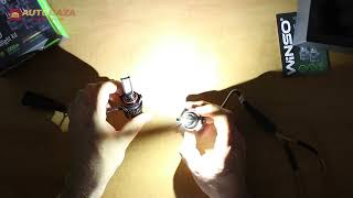 Winso H8/H11/H16 12/24V 50 Вт 5000Лм 6500K CSP3570 (794110) - відео 1