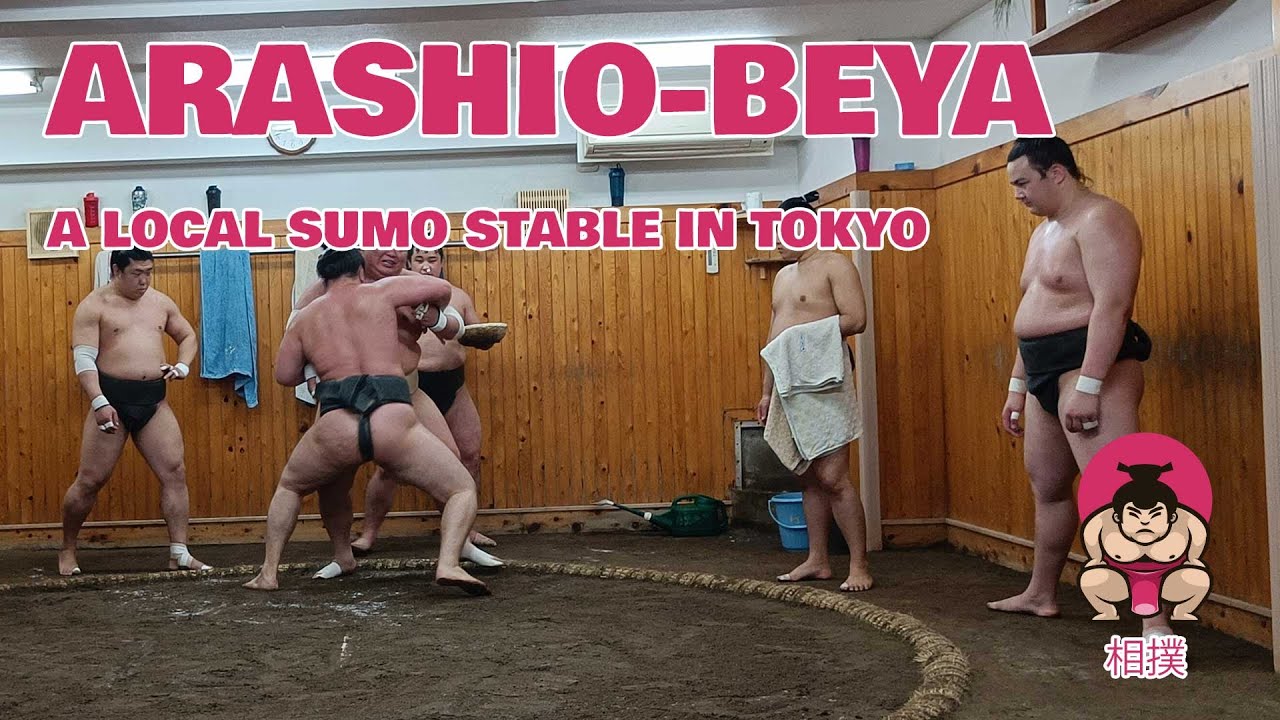 Experience the thrill of witnessing a Sumo Practice live!