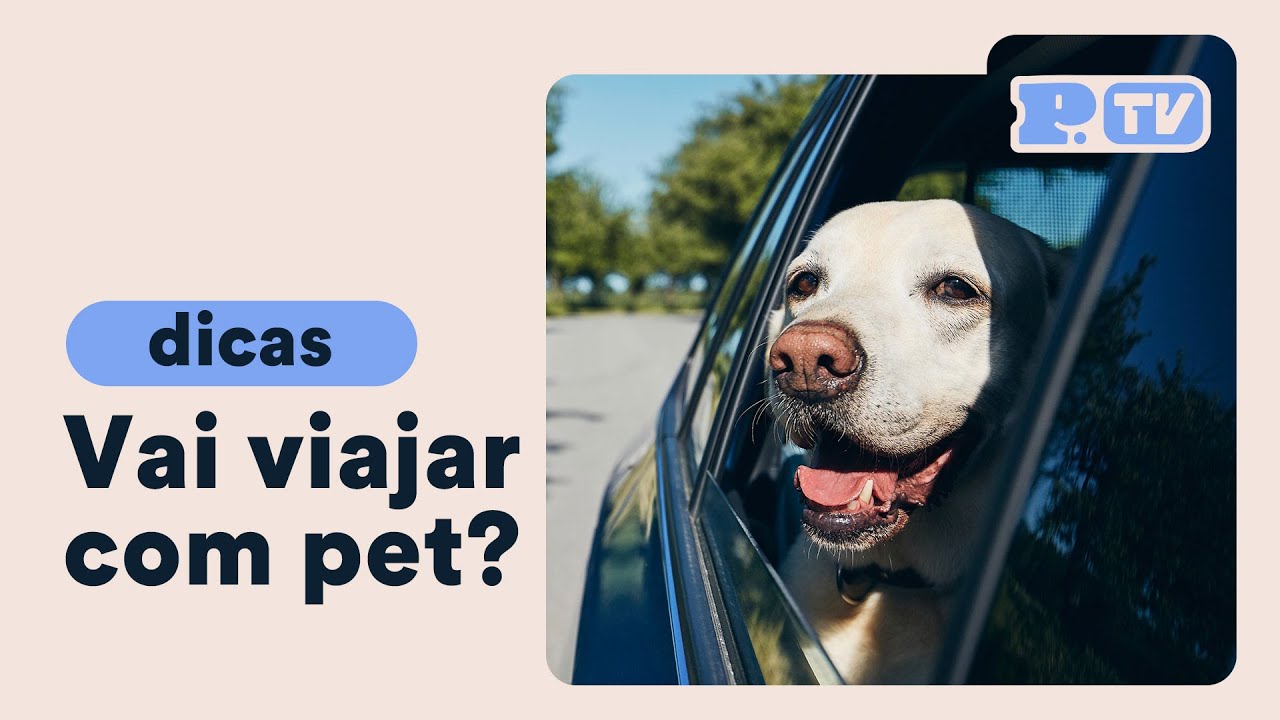 Petz - Dicas para viajar com seu pet