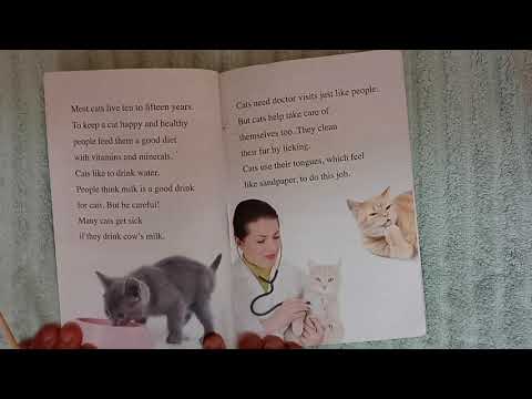 Cat!  ZonderKidz. I Can Read!