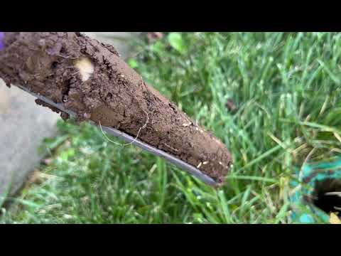 Sentricon® Termite Bait Station Working Well in Allenwood, NJ