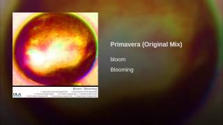 Primavera (Original Mix)