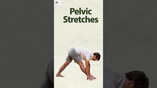Download lagu Best 5 Exercises for Strong Erection #shorts #youtubeshorts mp3 Download lagu Best 5 Exercises for Strong Erection #shorts #youtubeshorts mp3