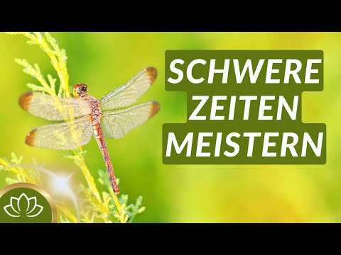 Einfühlsame Meditation für Krisen & Schicksalsschläge