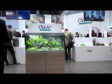 Watch Video on YouTube