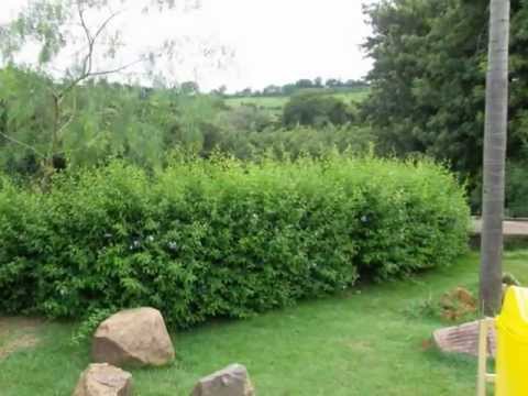 IFSULDEMINAS Câmpus Machado