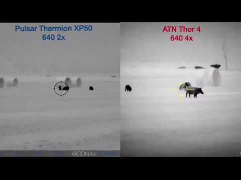 ATN Thor 4 640 vs Pulsar Thermion XP50 Video Comparison