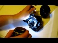 Nikon D3100 broken mirror fell off - digital camera ...