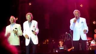 Jay Traynor She Cried