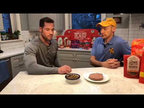 download lagu mp3 mp4 Stella And Chewy Chicken Stew, download lagu Stella And Chewy Chicken Stew gratis, unduh video klip Stella And Chewy Chicken Stew