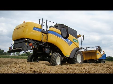 hqdefault Żniwa 2016: New Holland CX5080 w dorodnej pszenicy – VIDEO