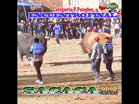 La fiesta de San  Isidro SACACA 2025, "Sambo-Artillero"Final. #shortsviral  #almaproduccionesbolivia