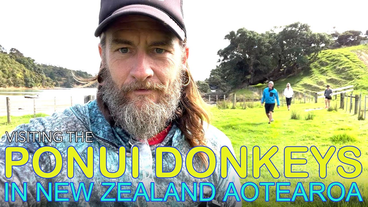 Sailing to Ponui Island to See it's Feral Donkeys & Visiting Rotoroa Island / SY RaLa &@Edna’s Adventures