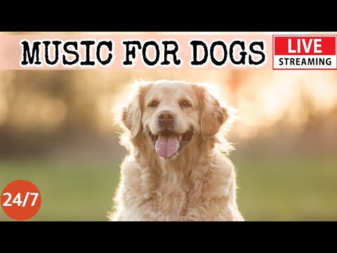 [LIVE] Dog Music????Relaxing Calming Music for Dogs????????Cure Separation Anxiety Music for Dogs????Dog Sleep????1
